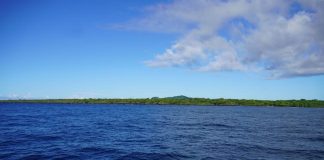 RC Blog: Who’s willing to pay for sustainability in the Pacific?