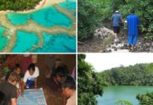Understanding tools for Protected Area Management Effectiveness in the Pacific