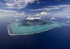 Pacific must be central to UN biodiversity treaty Pacific must be central to UN biodiversity treaty