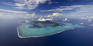 Pacific must be central to UN biodiversity treaty Pacific must be central to UN biodiversity treaty