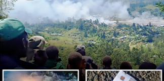 Probe into Mendi