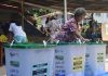 PNG Election described as severely flawed by TIPNG