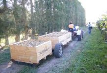 New Zealand Labour government to expand exploitative migrant labour schemes