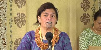 Mahuta outlines how $1.3b will be spent on climate action