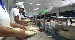 PAFCO suffered $2m loss in 2018, Manpower will be an issue