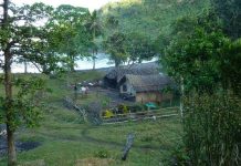 New FAO project to boost Vanuatu’s capacity for implementing National Census of Agriculture 2022