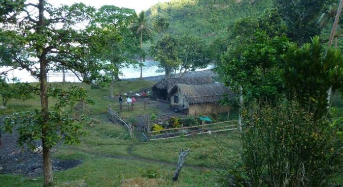 New FAO project to boost Vanuatu’s capacity for implementing National Census of Agriculture 2022