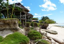 Denmark becomes first country to pledge ‘loss and damage’ finance