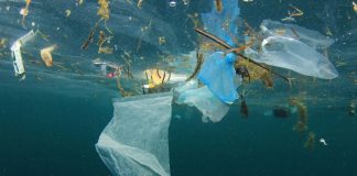 Plastic pollution could put 2.3 million Pacific Islanders’ livelihoods at stake
