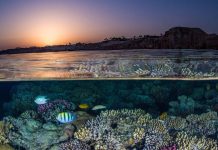 Egypt prepares for flagship UN climate conference, in a year of unprecedented global weather shocks