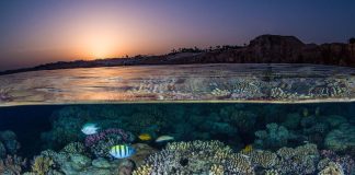 Egypt prepares for flagship UN climate conference, in a year of unprecedented global weather shocks