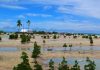 Kiribati could ‘not be habitable beyond 2060′