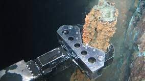 French Polynesia moves towards ban on ‘craziness’ of seabed mining