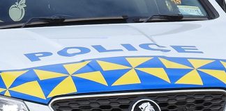 Four-year-old boy accidentally shot seven-year-old brother in Tonga