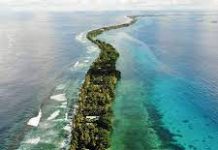 COP27: Pacific activists will push for loss and damage fund for grassroots communities