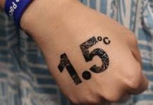 Gap to 1.5C yawns, as most governments miss UN deadline to improve climate plans