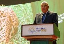 Goal of limiting global heating to 1.5C ‘more fragile’ than ever, says COP27 chair