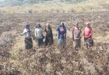Prolonged drought leaves many without food and water in PNG