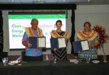 Promoting women in the Pacific energy sector