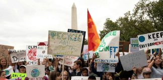 Experts debate a watershed moment that could see the world’s highest court adjudicate a climate change case for the first time