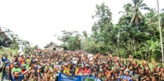 Fighting off the bulldozers in the sacred kwila forests of Papua New Guinea
