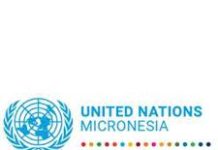 The UN in FSM milestones and the way forward