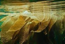 Climate change: No ‘credible pathway’ to 1.5C limit, UNEP warns