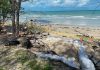Torres Strait Islands leader says region ‘neglected’, following COP27 deal