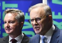 Chris Bowen, not Anthony Albanese, to attend UN climate summit