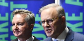 Chris Bowen, not Anthony Albanese, to attend UN climate summit