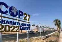 ‘End youth tokenism’ – Commonwealth young people tell COP27 leaders to recognise them as partners in fight against climate change