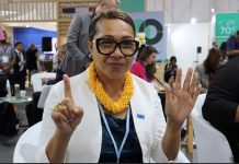 Support for gender and climate change gaining traction at COP27