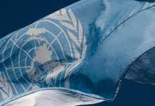 UN agrees global tax rules resolution giving developing nations greater say