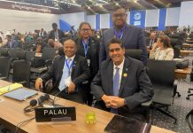 Palau takes effort to save prized jelly fish to world leaders at COP27