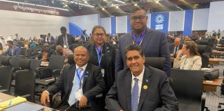 Palau takes effort to save prized jelly fish to world leaders at COP27