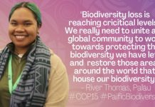 Enhanced support for ocean conservation should consider Pacific’s special circumstances