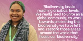 Enhanced support for ocean conservation should consider Pacific’s special circumstances