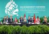 UN conference concludes with ‘historic’ deal to protect a third of the world’s biodiversity
