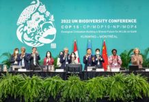 UN conference concludes with ‘historic’ deal to protect a third of the world’s biodiversity