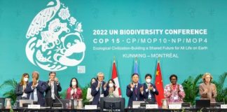 UN conference concludes with ‘historic’ deal to protect a third of the world’s biodiversity