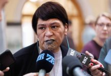 NZ told to respect Fiji election process: Bainimarama