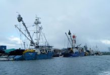 More needs to be done to control rampant tuna transhipment in the high seas