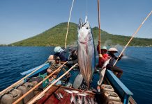 State of play: Skipjack Tuna management measures to be adopted at WCPFC19