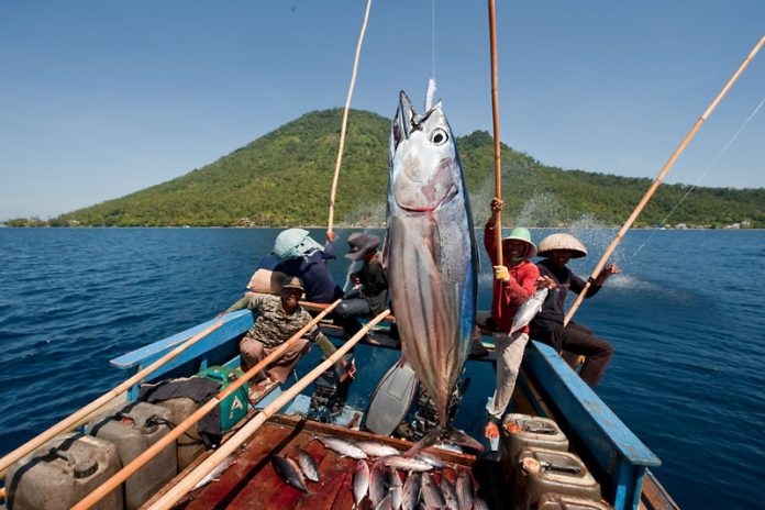 State of play: Skipjack Tuna management measures to be adopted at WCPFC19