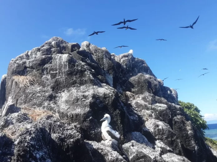 Fish wardens combat illegal fishing in Fiji’s Vatu-i-Ra Marine Conservation Park