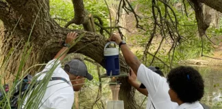 Mosquito-borne diseases become climate reality in warming Pacific