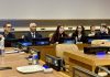 UN tries anew to finish treaty protecting the high seas