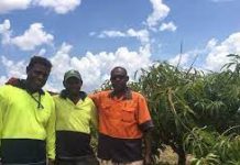 Pacific Islanders and leaders welcome new Australia visa lottery scheme