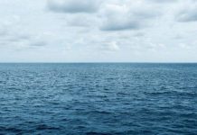 All hands on deck as UN meets to protect high seas