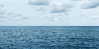 All hands on deck as UN meets to protect high seas
